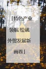 特色产业领航 绘就外贸发展新画卷