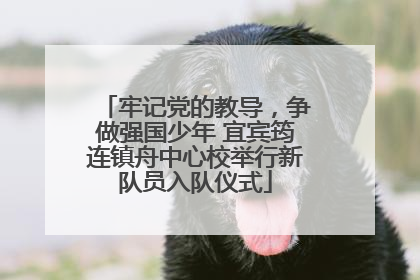 牢记党的教导，争做强国少年 宜宾筠连镇舟中心校举行新队员入队仪式