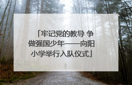 牢记党的教导 争做强国少年——向阳小学举行入队仪式