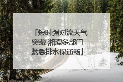 短时强对流天气突袭 湘潭多部门紧急排水保通畅