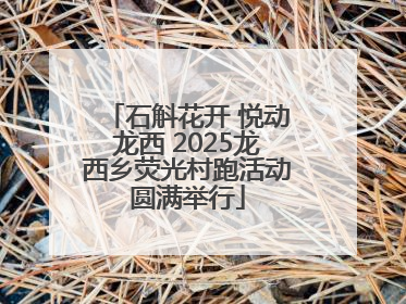 石斛花开 悦动龙西 2025龙西乡荧光村跑活动圆满举行