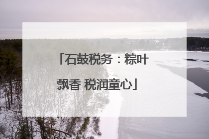 石鼓税务：粽叶飘香 税润童心