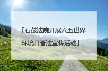石鼓法院开展六五世界环境日普法宣传活动