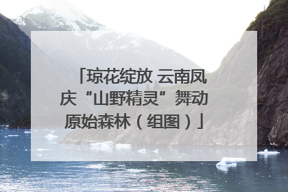 琼花绽放 云南凤庆“山野精灵”舞动原始森林（组图）