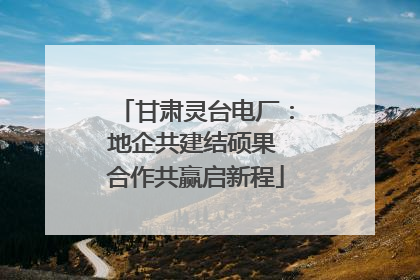 甘肃灵台电厂：地企共建结硕果 合作共赢启新程