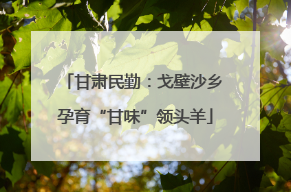 甘肃民勤：戈壁沙乡孕育“甘味”领头羊