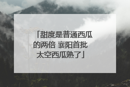 甜度是普通西瓜的两倍 襄阳首批太空西瓜熟了