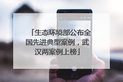 生态环境部公布全国先进典型案例，武汉两案例上榜