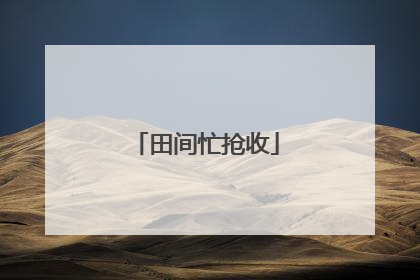 田间忙抢收