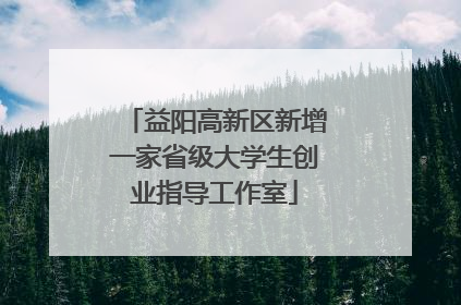 益阳高新区新增一家省级大学生创业指导工作室
