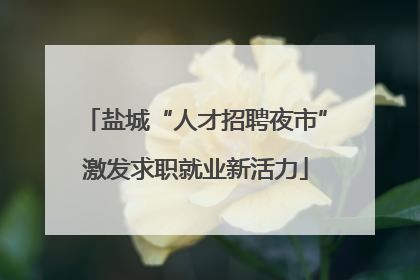 盐城“人才招聘夜市”激发求职就业新活力
