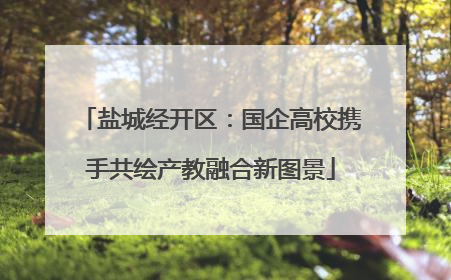 盐城经开区：国企高校携手共绘产教融合新图景