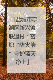 盐城市亭湖区新兴镇联盟村：密织“防火墙”守护蓝天净土