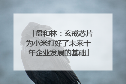 盘和林：玄戒芯片为小米打好了未来十年企业发展的基础