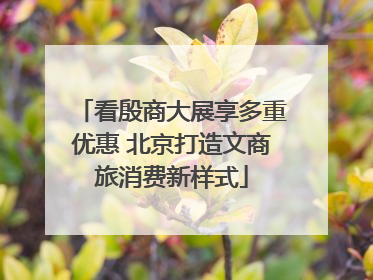 看殷商大展享多重优惠 北京打造文商旅消费新样式