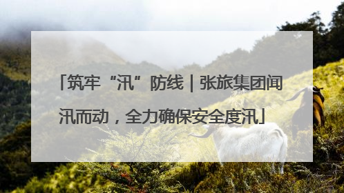 筑牢“汛”防线｜张旅集团闻汛而动，全力确保安全度汛