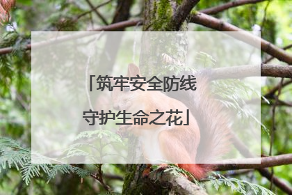 筑牢安全防线 守护生命之花