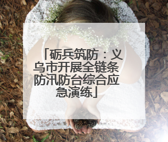 砺兵筑防：义乌市开展全链条防汛防台综合应急演练