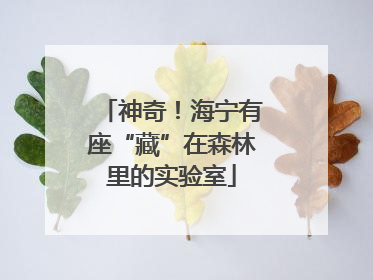 神奇！海宁有座“藏”在森林里的实验室