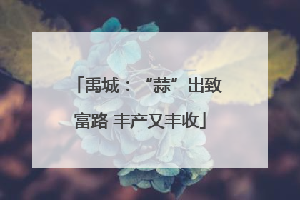 禹城：“蒜”出致富路 丰产又丰收