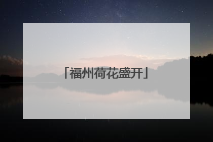 福州荷花盛开
