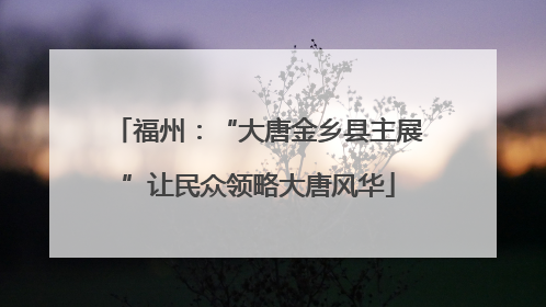 福州：“大唐金乡县主展”让民众领略大唐风华