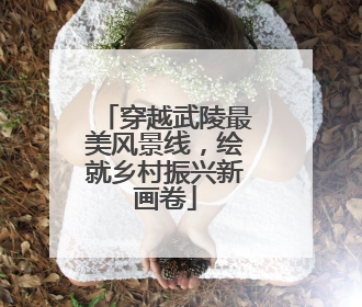穿越武陵最美风景线，绘就乡村振兴新画卷
