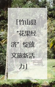 竹山县“花果经济”绽放文旅新活力