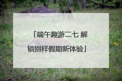 端午趣游二七 解锁别样假期新体验
