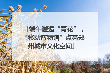 端午邂逅“青花”，“移动博物馆”点亮郑州城市文化空间