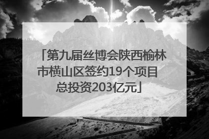 第九届丝博会陕西榆林市横山区签约19个项目 总投资203亿元