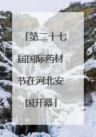 第二十七届国际药材节在河北安国开幕
