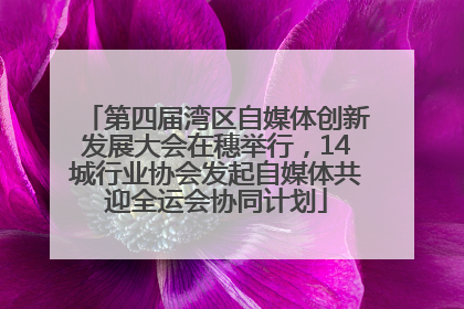 第四届湾区自媒体创新发展大会在穗举行，14城行业协会发起自媒体共迎全运会协同计划