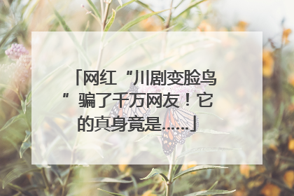 网红“川剧变脸鸟”骗了千万网友！它的真身竟是……