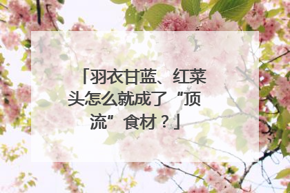 羽衣甘蓝、红菜头怎么就成了“顶流”食材？