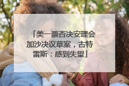 美一票否决安理会加沙决议草案，古特雷斯：感到失望
