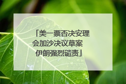 美一票否决安理会加沙决议草案 伊朗强烈谴责