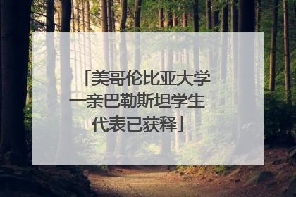 美哥伦比亚大学一亲巴勒斯坦学生代表已获释