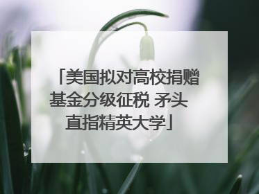 美国拟对高校捐赠基金分级征税 矛头直指精英大学
