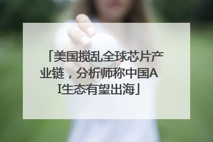 美国搅乱全球芯片产业链，分析师称中国AI生态有望出海