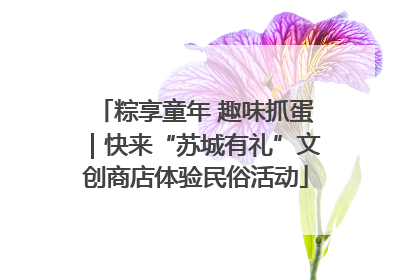 粽享童年 趣味抓蛋｜快来“苏城有礼”文创商店体验民俗活动