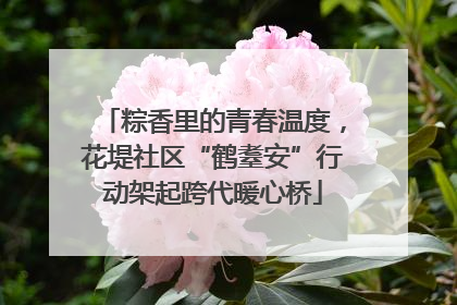粽香里的青春温度，花堤社区“鹤耋安”行动架起跨代暖心桥