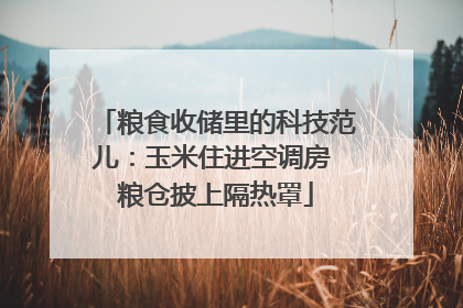 粮食收储里的科技范儿：玉米住进空调房 粮仓披上隔热罩