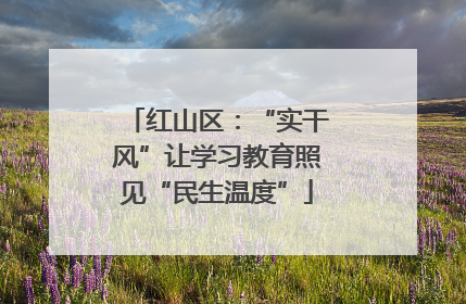 红山区：“实干风”让学习教育照见“民生温度”