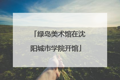 绿岛美术馆在沈阳城市学院开馆
