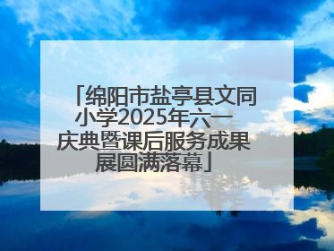绵阳市盐亭县文同小学2025年六一庆典暨课后服务成果展圆满落幕