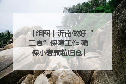 组图丨沂南做好“三夏”保障工作 确保小麦颗粒归仓