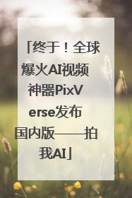 终于！全球爆火AI视频神器PixVerse发布国内版——拍我AI
