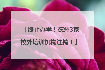 终止办学！德州3家校外培训机构注销！