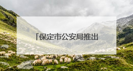 保定市公安局推出暑期学子办理出入境证件延时服务